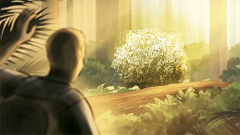 storyboard